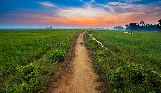 Pullu Thrissur